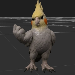 Angry Bird — 18+